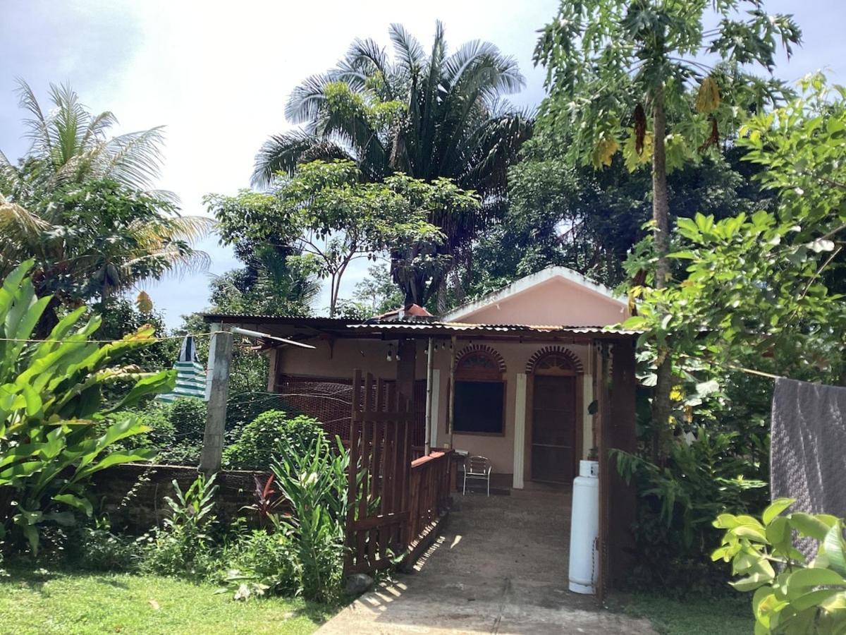 Exotic Flower Cabin2 Pool Agua Bendita Bagian luar foto